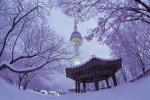 [HÀN QUỐC MÙA ĐÔNG]  SEOUL - NAMI - EVERLAND
