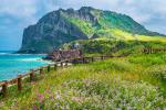 HAWAII – HONOLULU - NORTH SHORE