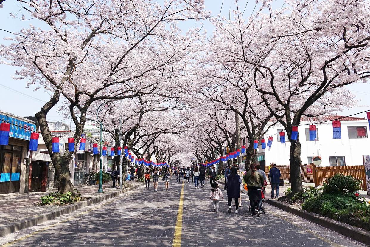 Lễ hội Văn hóa Cổ truyền Jeonju