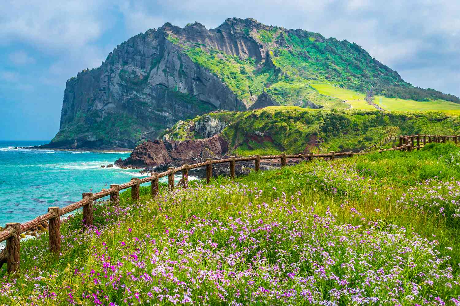 HAWAII – HONOLULU - NORTH SHORE