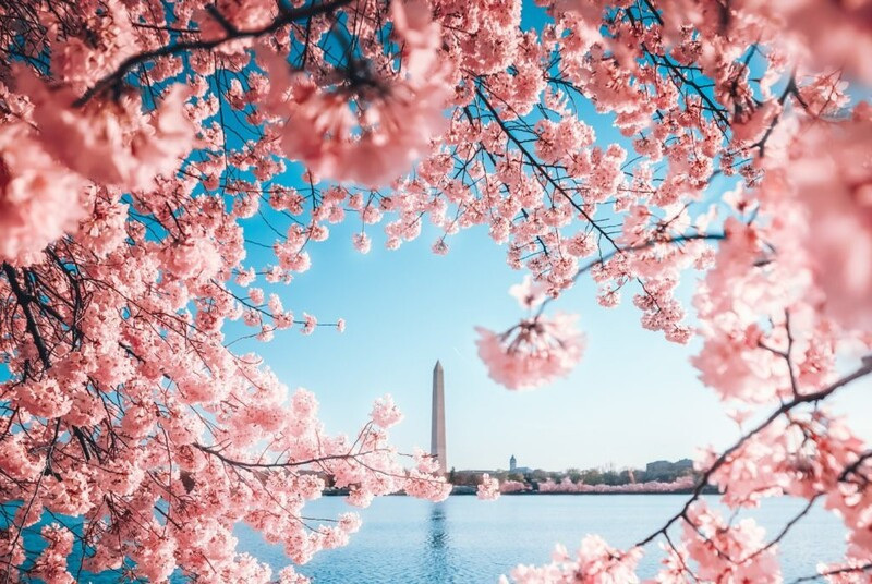 [HOA ANH ĐÀO] - BỜ TÂY HOA KỲ: LAS VEGAS – LOS ANGELES – SAN DIEGO – MEXICO – SOLVANG – SAN JOSE – SAN FRANCISCO