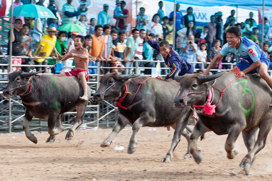 Top 12 Lễ Hội Thái Lan Đặc Sắc Không Thể Bỏ Qua Khi Du Lịch Xứ Sở Chùa Vàng